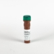 Cytus™ Green , a calcein AM–based stain for viable cells