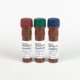 Cell Staining Kit