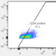 Flow cytometry of cryopreserved ASE-9718 iPSC-derived HPCs stained for CD34, a marker of hematopoietic progenitor cells.